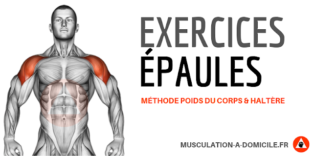 musculation à domicile exercices musculation fitness épaules déltoides poids du corps haltère