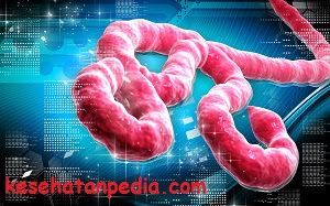 Gejala virus ebola