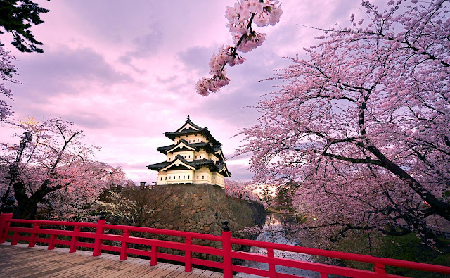 Du lịch Nhật Bản mùa hoa anh đào 01