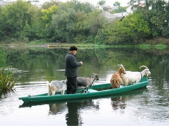 animals-and-humans_08