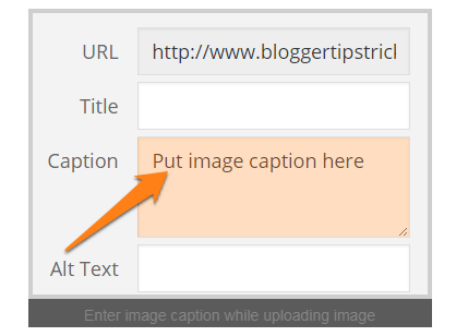 3- Best Practices for an Optimized Image in Blog Posts