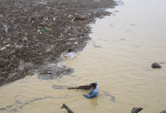 Người dân liều mình vớt củi trên sông Lam ở Nghệ An khi nước lũ đổ về. Ảnh: ĐỨC NGỌC