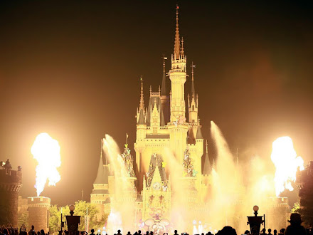 一眼レフ防水対策 ディズニーランド 爽涼鼓舞 大雨の様な水から守る
