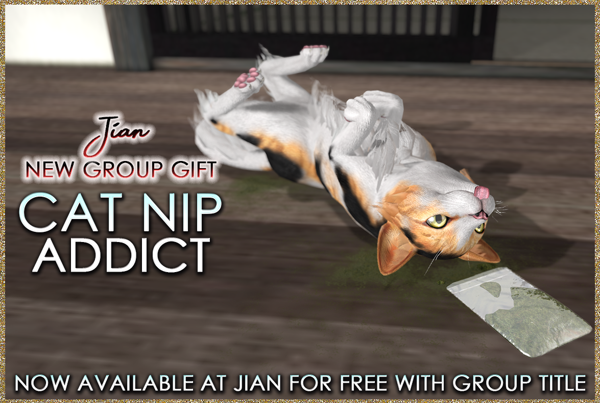 Jian New Group Gift Cat Nip Addict Free In Store W Group Title