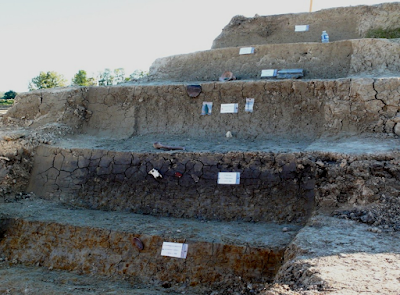 Alizay - Fouilles archéologiques, En s'enfonçant à partir du niveau du sol actuel, on traverse 10 000 ans de crues successives de la Seine qui ont préservé de nombreuses traces du passé