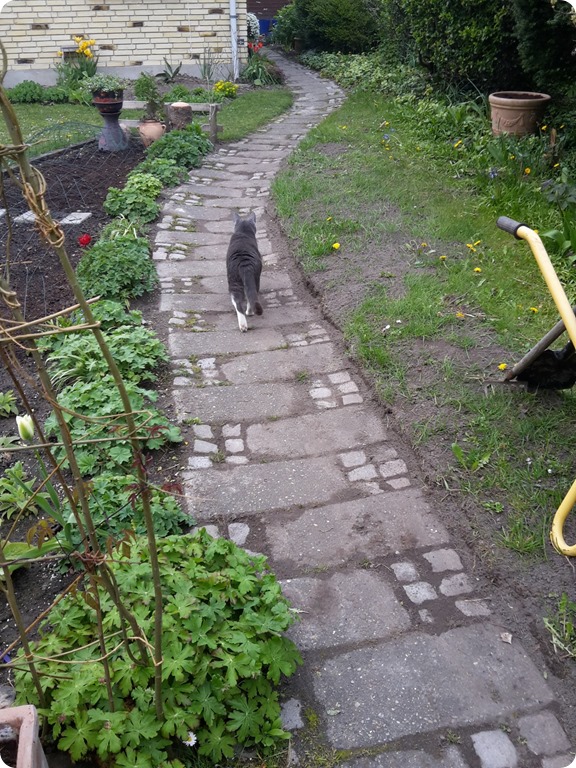 20170506_165755