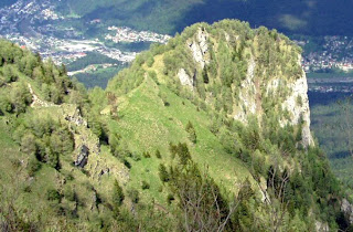 Mugo Pine Cliff, Carpathian Mountains