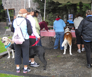 Walkers registering with their dogs under the tent