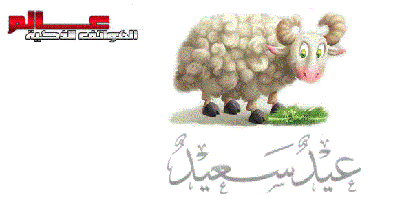 Ø§Ø¬Ù…Ù„ ØµÙˆØ± Ø®Ù„ÙÙŠØ§Øª ÙˆÙƒØ±ÙˆØª ØªÙ‡Ù†Ø¦Ø© Ø¹ÙŠØ¯ Ø§Ù„Ø§Ø¶Ø­Ù‰ Ø§Ù„Ù…Ø¨Ø§Ø±Ùƒ 2021 Eid Al Adha