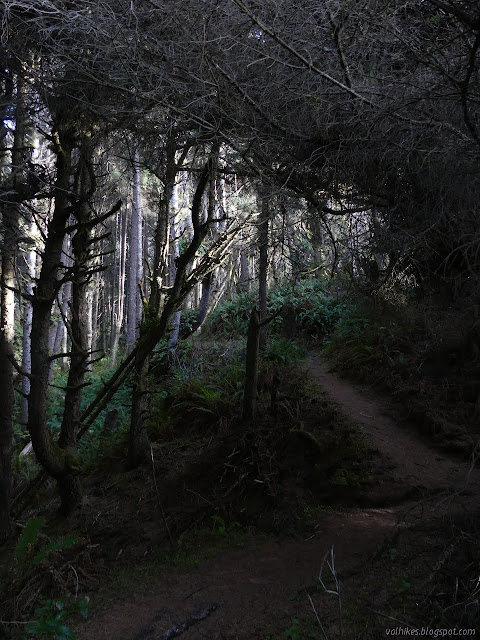 under the sculpted trees