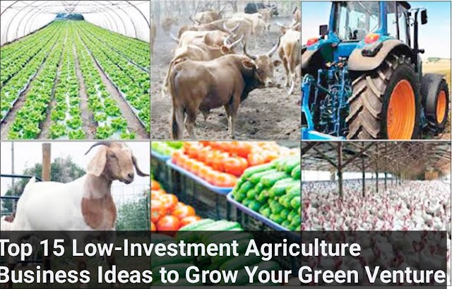Top 15 Low-Investment Agriculture Business Ideas to Grow Your Green Venture