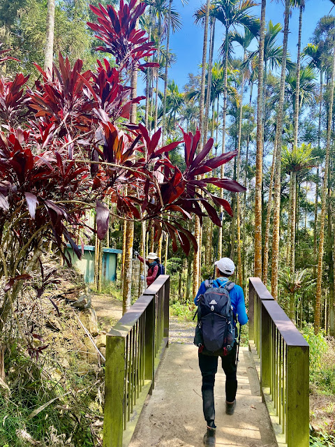 竹松梅步道