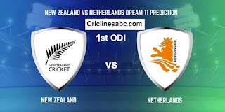 New Zealand vs Netherlands – 1st ODI International Match Prediction 2022