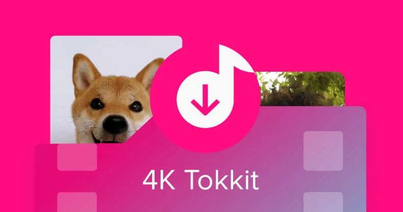 أفضل, برنامج, لتنزيل, فيديوهات, تيك, توك, على, الكمبيوتر, 4K ,Tokkit