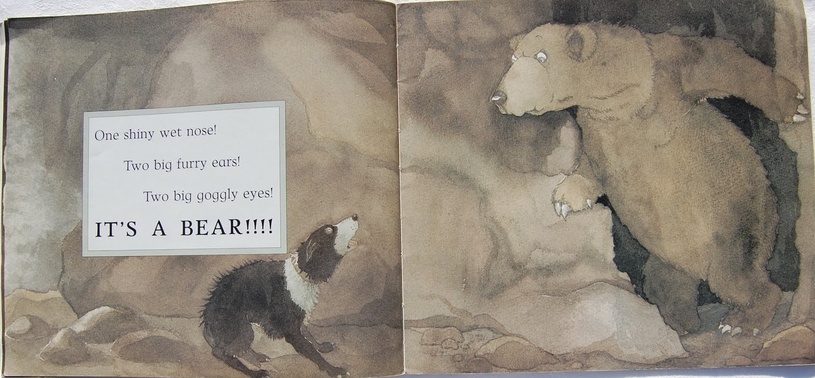 We Re Going On A Bear Hunt