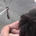 Blowjob with his boyfrind outside Watch online porn movie