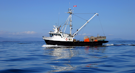 http://www.huffingtonpost.ca/2015/01/05/justin-trudeau-paul-davis-fisheries_n_6420234.html?ncid=tweetlnkushpmg00000067