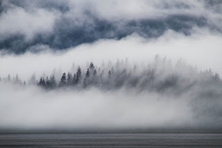 Hoarfrost jordan l hawk