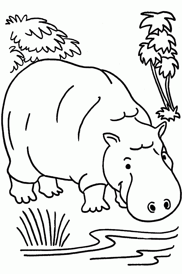 desenhos para colorir hipopótamo desenhos para pintar e imprimir