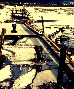 In Alaska Earthquake March 27, 1964, Twentymile River Bridge fell into
the river, and some of the wood piles were driven through the reinforced
concrete deck