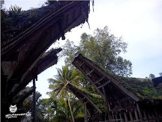 wisata tana toraja, wisata alam dan budaya toraja