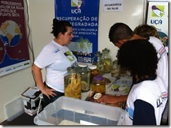 ambiental 5