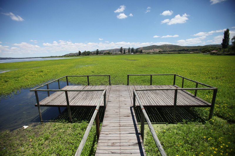 Cuánto cuestan los terrenos en los lagos más demandados de Chile