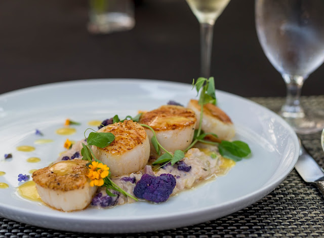 Pan Roasted Scallops from Michael's Tasting Room