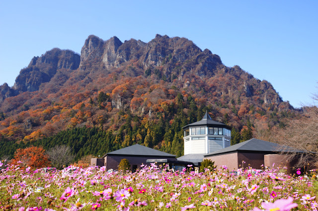 紅葉の妙義山とコスモス