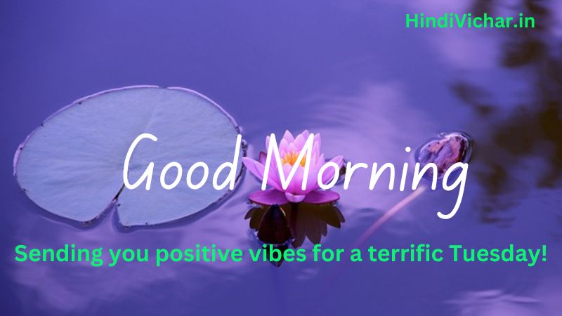 Happy Tuesday Good Morning Imahes