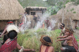 Bakar Batu, Pesta Makanan Lezat dan Sehat ala Suku Dani