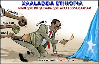 Xaaladda Ethiopia aminrts sawirka uu ka diyaariyay