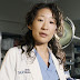Sandra Oh abandona Anatomía de Grey en su décima temporada