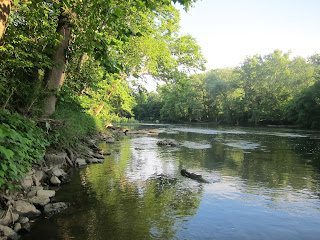 potomac north branch smallmouth