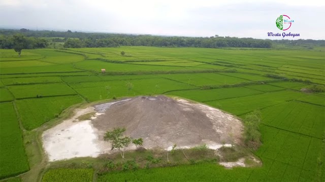 Fenomena Bledug Kramesan di Grobogan, Ini Kata Badan Geologi