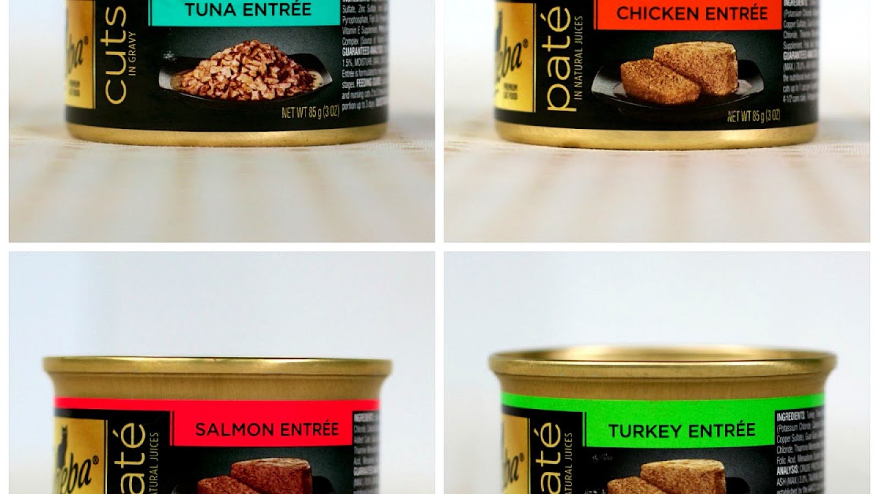 Good Cat Food Brands - Cat Choices