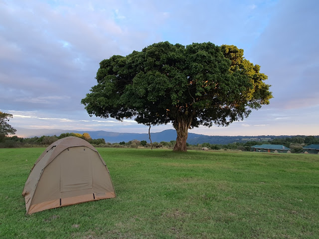 Safari na Tanzânia e no Quênia