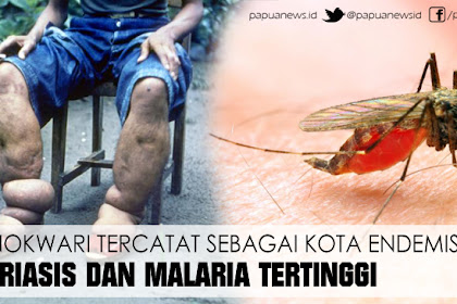 Manokwari Tercatat Sebagai Kota Endemis Filariasis Dan Malaria Tertinggi