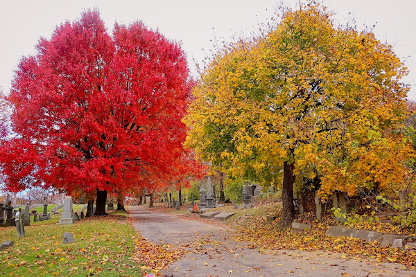 2023 Fall Foliage