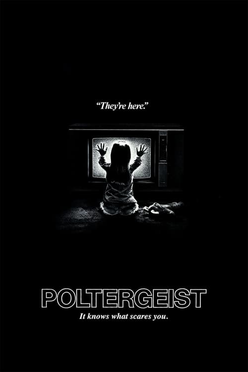 [HD] Poltergeist (Fenómenos extraños) 1982 DVDrip Latino Descargar
