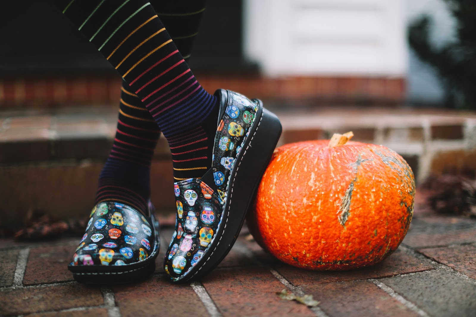 As cute as they are spooky the Debra Sugar Skulls was our best selling shoe of Fall 2015. Bright colors, playful accents, and toothy grins adorn the loafer in a way that reminds us of October’s fall harvest festivities. Sugar skulls are all over the place in Western culture adorning everything from rolling pins to bracelets to area rugs to S’well water bottles. As you slip into your Sockwells and don your Debras in Fall 2016, we invite you to reflect on the origins of this seasonal skull.  Skeletons are an iconic part of Dia de los Muertos, a Mexican celebration of the Day of the Dead. The three-day long fiesta begins on October 31st and ending on November 2nd. On these days, people believe that honoring late friends, family, and neighbors will bring future happiness to the living the following year.  In preparation for this homecoming, the families craft altars in their homes and cemeteries decorating them with the favorite foods, drinks, and gifts of the dearly departed. People place sugar skulls on the altars along with marigolds and pan de muerto. One of the most famous of the skeletal characters to make an appearance for the festivities is La Catrina. The creation of Antonio Vanegas Arroyo, she is an elegantly dressed figure wearing a French-inspired hat. Intended to make a political statement in pre-Revolutionary Mexico she represents wealth and serves as a reminder that death is the one true equalizer between classes.  The calaveritas de azucar are a combination of sugar, water, and meringue powder you press into a skull mold. Decorated with bright icings, marigolds, foil, and even the name of the deceased these skulls are meant to be colorful- a representation and celebration of the living. Mexicans see this vibrant pigment as a sweet reminder of the inevitability of the afterlife.  In contrast to Halloween, when people fear and evade death at all costs, Dia de los Muertos is intended to be a celebration and the Mexican attitude toward death itself is reflected in the playful and celebratory papier mache parades that flood the streets of Mexico City. Attendees paint their faces to joyfully dance on the line between life and death before heading to late night candle light vigils in cemeteries.  How can you get in the mood for this celebration of all things Day of the Dead? Your favorite Alegrias are a good start, but we want to sweeten the deal with a gift with purchase to keep your feet comfy and warm while you attend your favorite autumn festivities.   That’s right! You heard us! We’ve partnered with Sockwell to give away a free pair with every purchase of a Debra Sugar Skull or Keli PRO Sugar Skull Dottie between now and October 31st.  What’s so special about these socks? Made with a merino wool and bamboo blend these socks are meant to be high-performance compression socks while also being visually attractive and physically comfortable. The designers kept the wearer’s needs in mind and incorporated two levels of graduated compression. Better yet these socks are all-American in both the materials and mills used in production.  Even if you already have your Alegria Sugar Skull shoes, you’ll want to pick up a pair of Sockwell socks for the perfect match in comfort and style.  Hit the leaf-covered streets this October in the most popular pattern of the season with the best socks you’ve ever worn, and you’ll be ready for whatever tricks and treats come your way. Happy Harvest! 