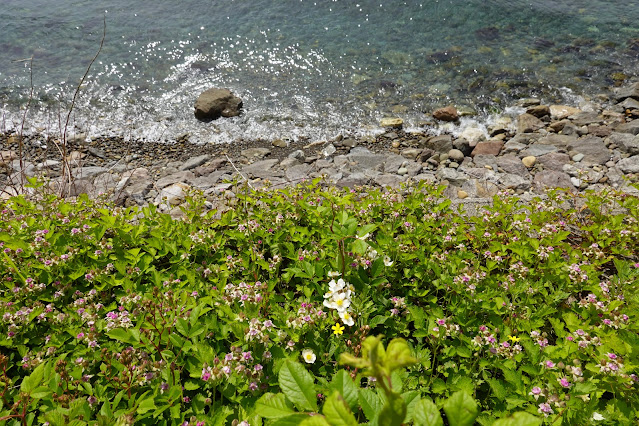 島根県松江市美保関町美保関 境美保関線 海の渚