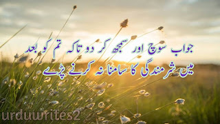 Urdu quotes