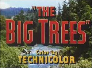 The Big Trees