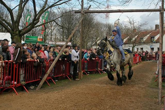 Goose pulling is an old sport originally played in parts of the Netherlands, Belgium, England and North America from the 17th to the 19th centuries. The sport involves a goose that is hung by its legs from a pole or rope that is stretched across a road. A man riding on horseback at a full gallop would attempt to grab the bird by the neck in order to pull the head off. Whoever makes off with the head is declared winner and becomes the noble hero of the day. Goose pulling is still practiced today, in parts of Belgium and in Grevenbicht in the Netherlands as part of Shrove Tuesday and in some towns in Germany as part of the Shrove Monday celebrations.