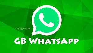 Cara Membuat Status WhatsApp Selalu Online