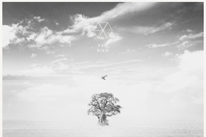 Lirik Lagu EXO - Bird Lyrics 歌詞 (Kanji, Romanize, English, Indo Lyrics)