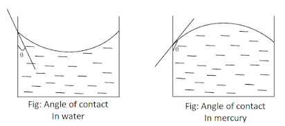 fluid statics (hydrostatic)