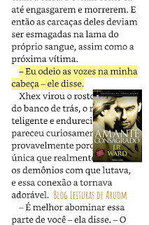 Imagem frases dos livros amante consagrado três