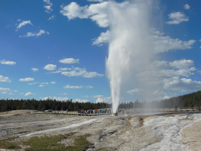 Bee Hive Geyser Erupting